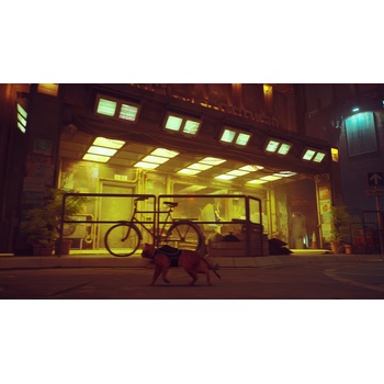 Stray