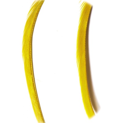 Veniard Husí Biots Goose Biot Strips Golden Olive