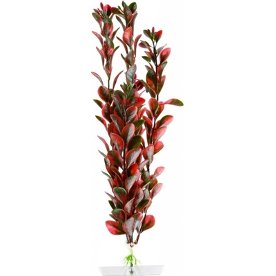 JK ANIMALS Red Ludwigia 25-28 cm