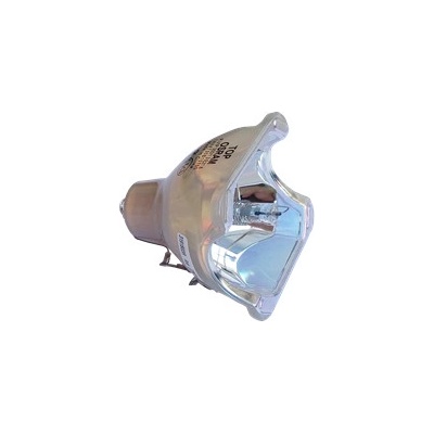 Lampa do projektora EIKI LC-XB40, originálna lampa bez modulu