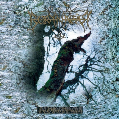Borknagar - The Olden Domain (Limited Edition) (Reissue) (Red Coloured) LP