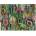 Galison - Puzzle Houseplant Jungle - 1 000 piese