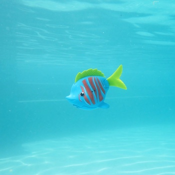 Swim Ways SwimWays Rainbow Reef Beta Fish (6072503) (6072503)