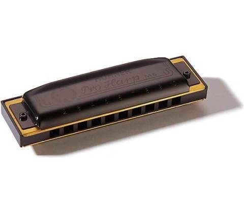 Hohner Pro Harp