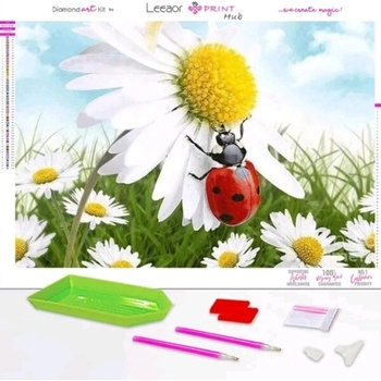 Image 1 of Калинка и цветя 40/60 см