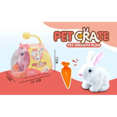 Armtoys ПЛЮШЕНО ЗАЙЧЕ С МОРКОВ В ПРОЗРАЧЕН КУФАР