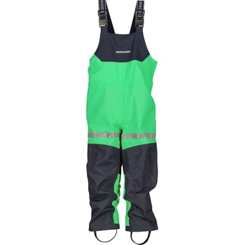 DIDRIKSONS PILVI 100