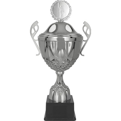 Kovový pohár s poklicí Stříbrný 21 cm 8 cm