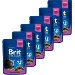 Brit Капсула BRIT Premium Cat Пиле и Индийско ориз 6 x 100 г