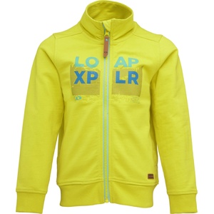 Loap Dorot 146-152