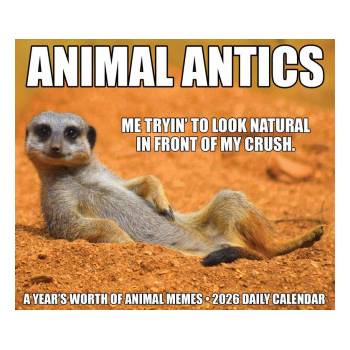 Willow Creek Press Calendars Animal Antics 2026 5.4 X 6.2 Box Calendar | Willow Creek Press