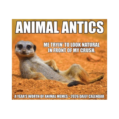 Willow Creek Press Calendars Animal Antics 2026 5.4 X 6.2 Box Calendar | Willow Creek Press