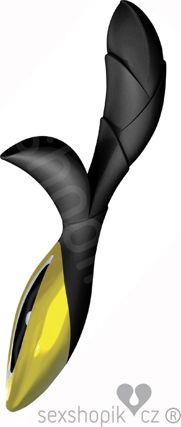 ZINI Hua