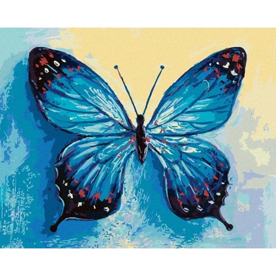 Zuty Malování Podle Čísel Modrý Motýl 40 x 50 Cm Plátno Rám 8596530092254