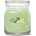 Yankee Candle Vanilla Lime типична свещ средна 368 гр