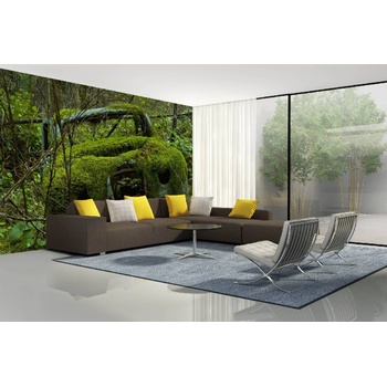 DIMEX ART s. r. o Самозалепваща се флизелинова фототапета кола, покрита с мъх 375 x 250 см