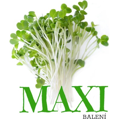 Brokolice – semínka na klíčení 100g