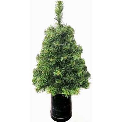 Limpol Vianočný stromček malý 0,6 m v črepníku