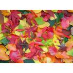 Grafika Art Puzzle - Puzzle Autumn Leaves 2000 - 2 000 piese