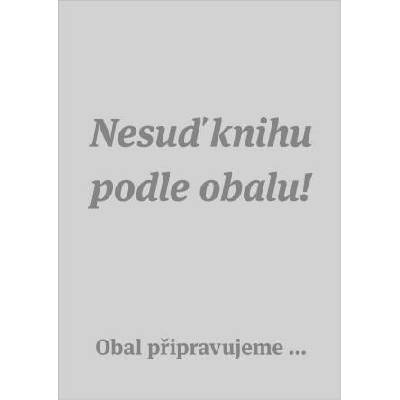 Malá encyklopedie buddhismu - Miltner, Vladimír