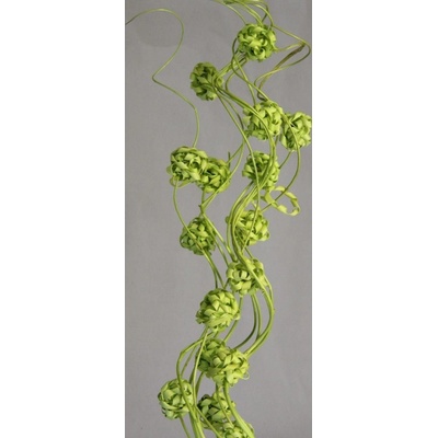 Curly ting with ball sv. zelená
