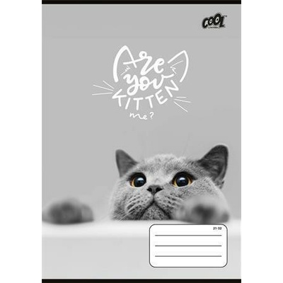 COOL BY VICTORIA Sešit Cats Forever 21 32 mix motivů A5 linkovaný 4 8. třída