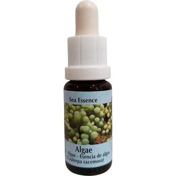 PHI Essences Есенция Водорасли № 1, капки 15 ml | PHI Essences (1 SEA)