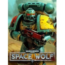 Hry na PC Warhammer 40 000: Space Wolf