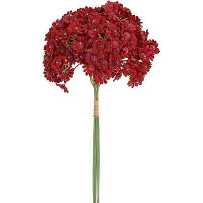 ZVÄZOK ACHILEA ČERVENÁ 32CM