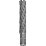 Euroboor Боркорона Ø 20x100, TCT Euroboor (458)