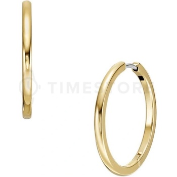 Fossil náušnice JF04638710