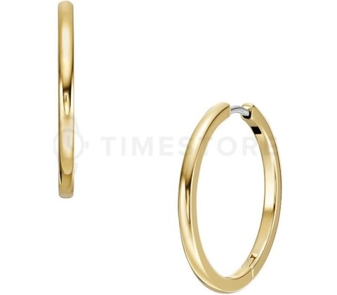 Fossil náušnice JF04638710