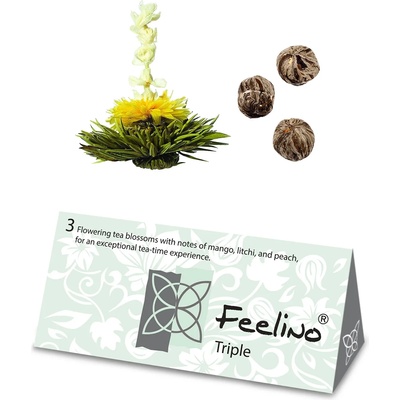 Feelino Чаени цветя, 6 различни сорта, индивидуално опаковани, много продуктивни (HIH0K1W19S) (HIH0K1W19S)