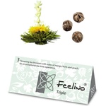 Feelino Чаени цветя, 6 различни сорта, индивидуално опаковани, много продуктивни (HIH0K1W19S) (HIH0K1W19S)