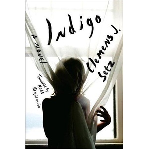 Indigo - A Novel | Clemens J. Setz, Ross Benjamin (ISBN: 9780871402684)