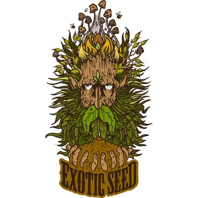 Exotic Seeds Sir Jack Pure AUTO CBD semena neobsahují THC 1 ks – Zboží Mobilmania