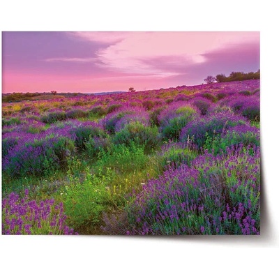 Sablio Plagát Levanduľové pole 2 - 90x60 cm