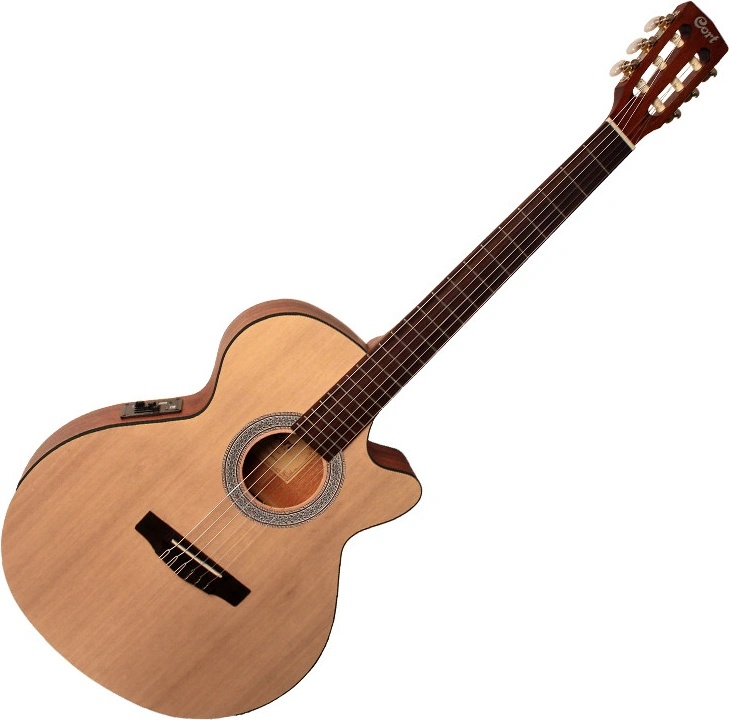Cort CEC-1