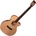 Cort CEC-1