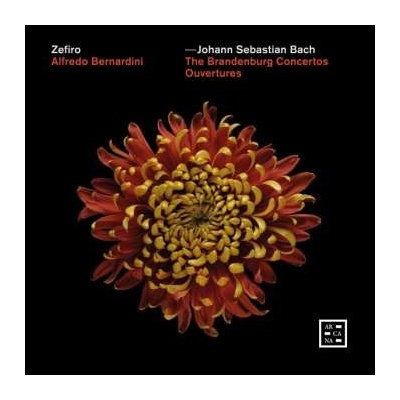 Johann Sebastian Bach - Brandenburgische Konzerte Nr.1-6 CD – Hledejceny.cz