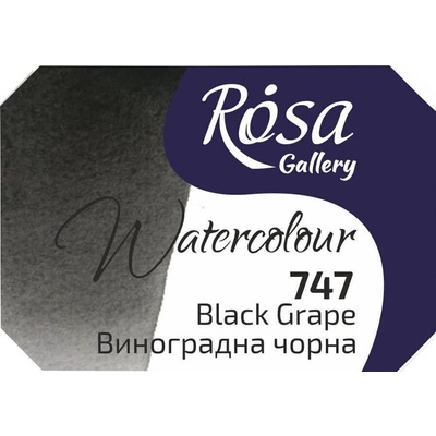 Rosa 343747 Акварелна боя 747 Black Grape 2, 5 ml 1 бр (343747)