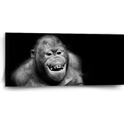 Sablio Obraz Orangután - 110x50 cm