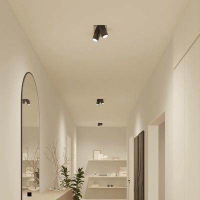 Philips Hue 872110305533000
