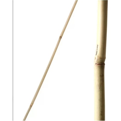 Tyč bambusová 270cm 20-22mm