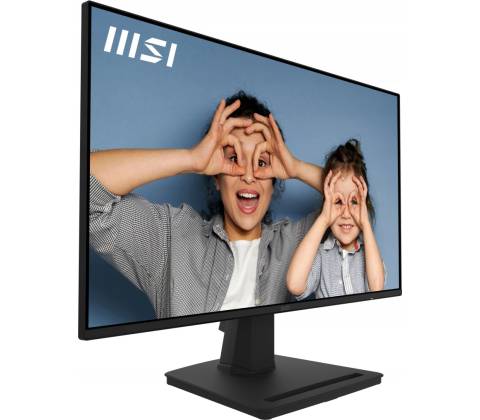 MSI Pro MP252