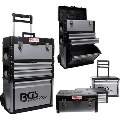 BGS 2002