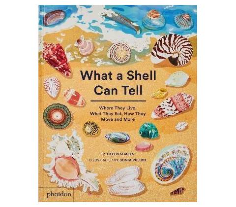 What A Shell Can Tell
