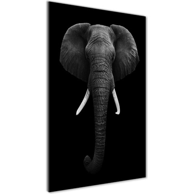 Vertikálny foto obraz fotografie na skle Africký slon 50x100 cm