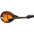 Stagg M40 S
