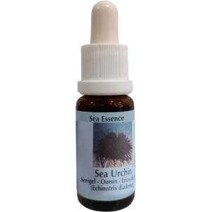 PHI Essences За баланс в отношенията - Есенция Морски таралеж № 7, капки 15 ml (7 SEA)
